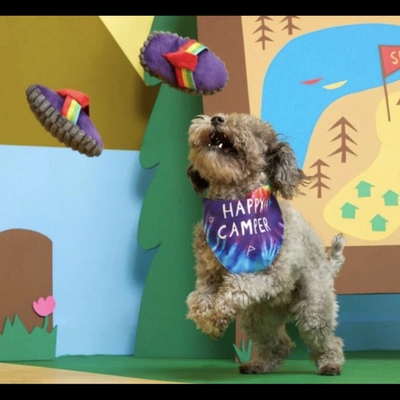 🆕 3/for $20 in a BUNDLE  Bark Box “ Bandana - Rama Flip flops” - Picture 4 of 17